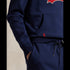 POLO RL Double Knit Tech Mens Apparel